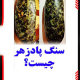 سنگ پادزهر